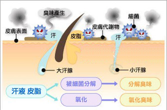 青岛有治疗狐臭不复发的地方吗 