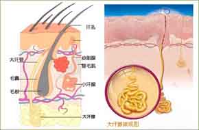 青岛哪种狐臭手术做的好 